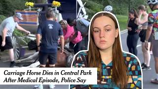 NYC Carriage Horse Dies in Central Park