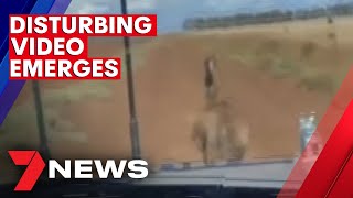 Two teenage boys deliberately run over and kill wild emu | 7NEWS