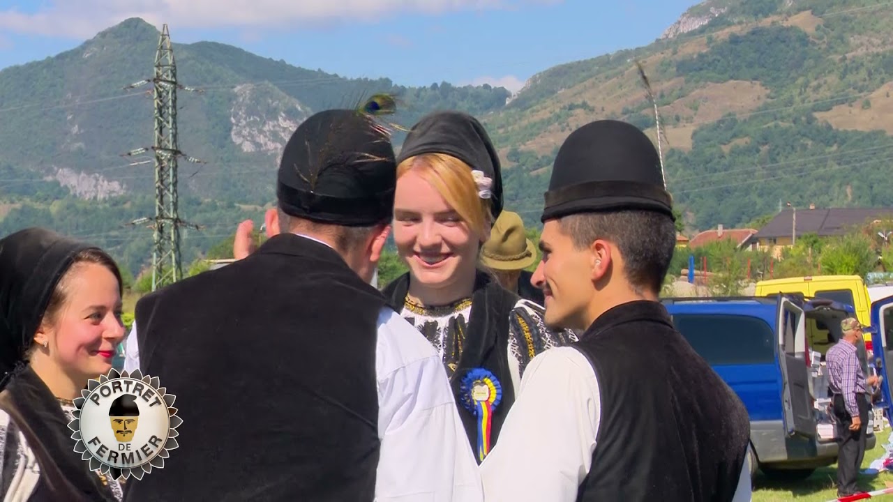 ”Comoara” ciobanilor - Cea mai performantă varietate de oaie din rasa Țurcană 1 ”Comoara” ciobanilor - Cea mai performantă varietate de oaie din rasa Țurcană YouTube player
