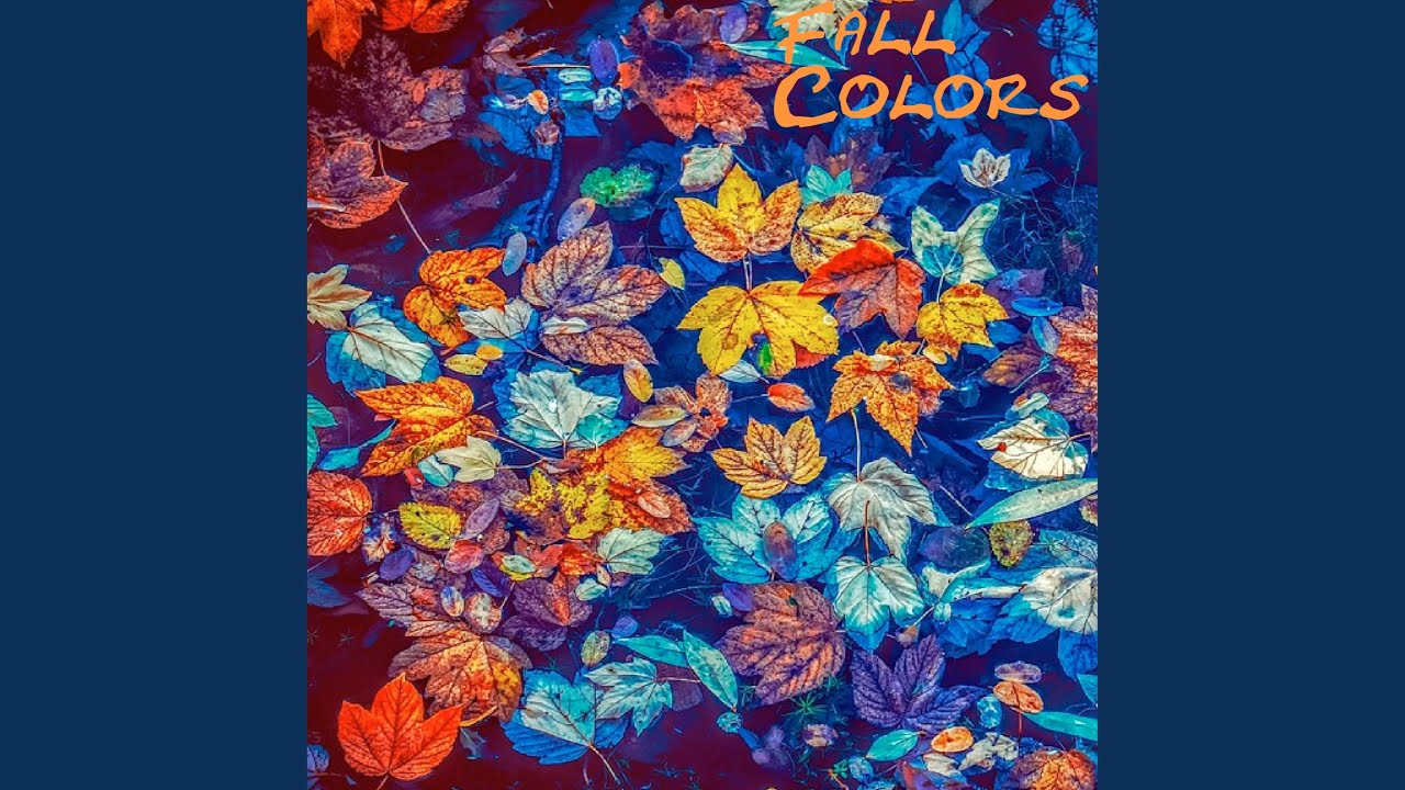Watch Coevolution on YouTube Watch Coevolution on YouTube