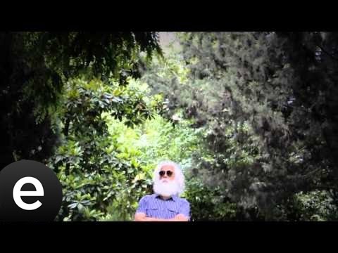 Özgür Aksın Dereler (Bayar Şahin)