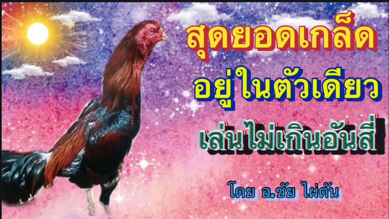 สุดยอดเกล็ด อยู่ในตัวเดียว เล่นไม่เกินอันสี่