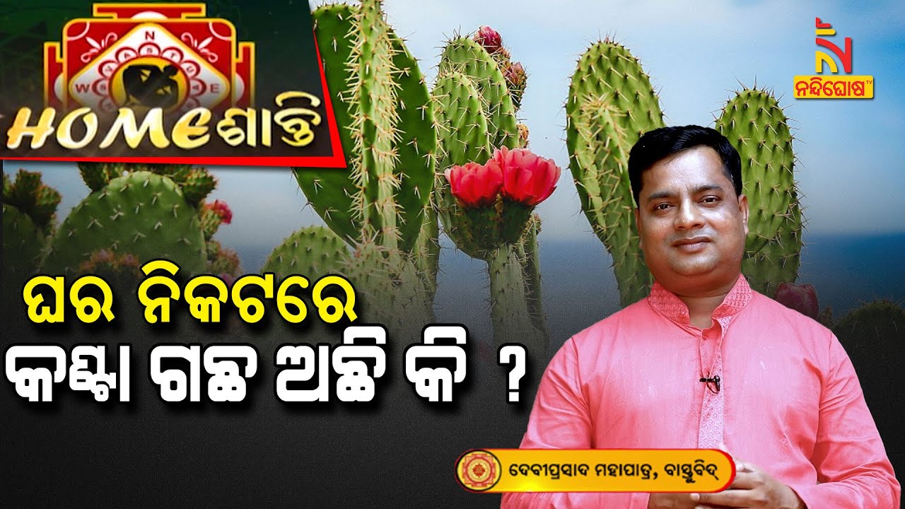 Home ଶାନ୍ତି | Vastu Shastra | ଘର ନିକଟରେ କଣ୍ଟା ଗଛ ଅଛି କି ? NandighoshaTV