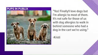 Publix bans dogs from shopping carts