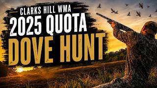 Clarks Hill WMA 2025 Quota Dove Hunt