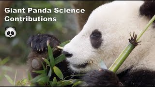 Giant Panda Science Contributions