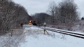 ABC 4005 LHF at a snowy Towners Woods -1/18/2021