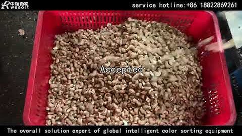 wesort cashew color sorter,cashew color sorting machine in China