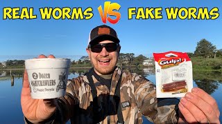 Real VS Fake Trout Worms Challenge (Multiple Bobbers Down!!!)