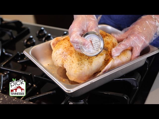 How to Use a Meat Thermometer - My Fearless Kitchen