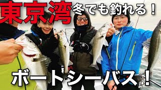 【東京湾】シーバスってこんなバレるｯｹ!?(-_-)  冬の東京湾で、ボートシーバス！