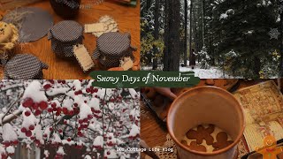 ☃️Snowy Days of November 🕯️ | Making Gingerbread Cookies and preparing for Winter ❄️