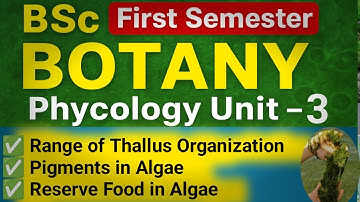 BSc First Semester Botany Unit 3 | Phycology (Algae)
