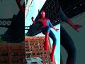 The amazing spider man