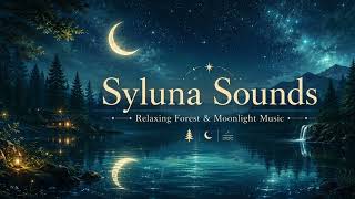 Moonlit Forest Dreams