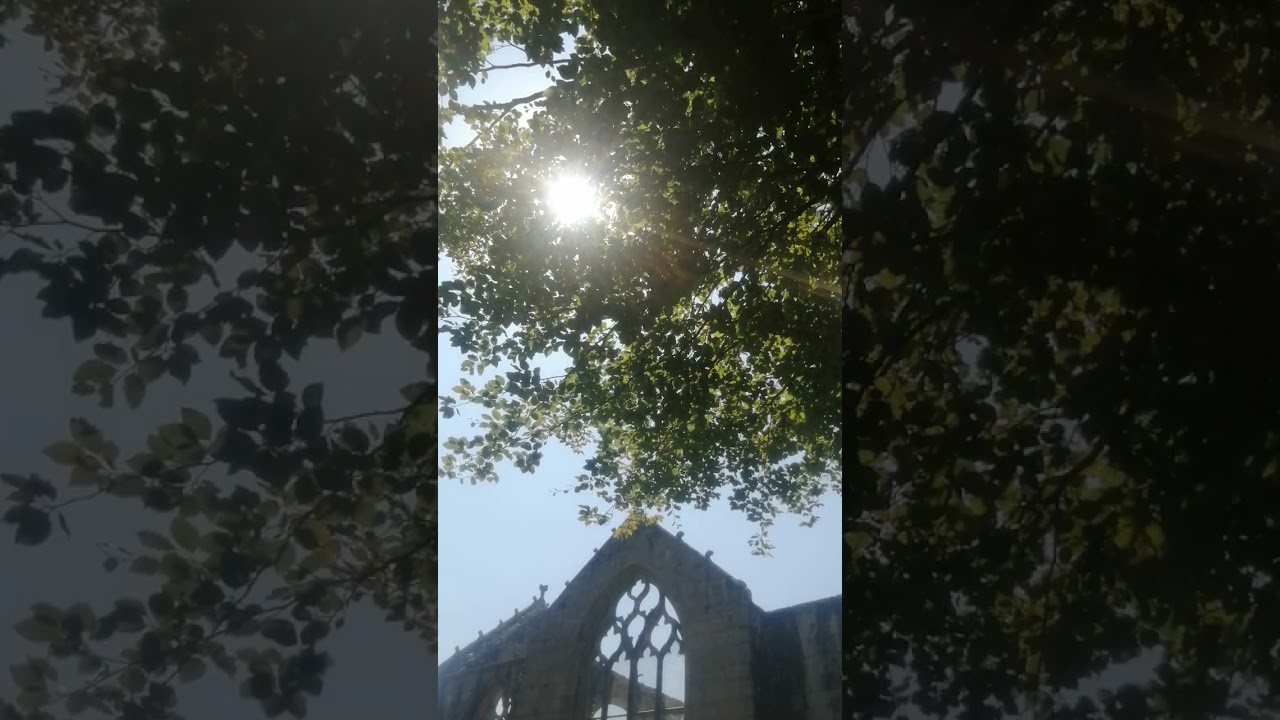 Sainte Sarah (ébauche)