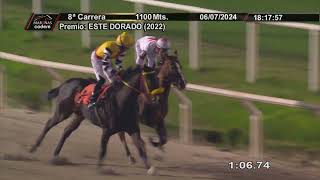 Vidéo de la course PMU PRIX ESTE DORADO (2022)