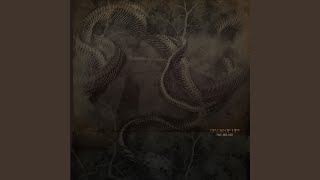 Consuming Void