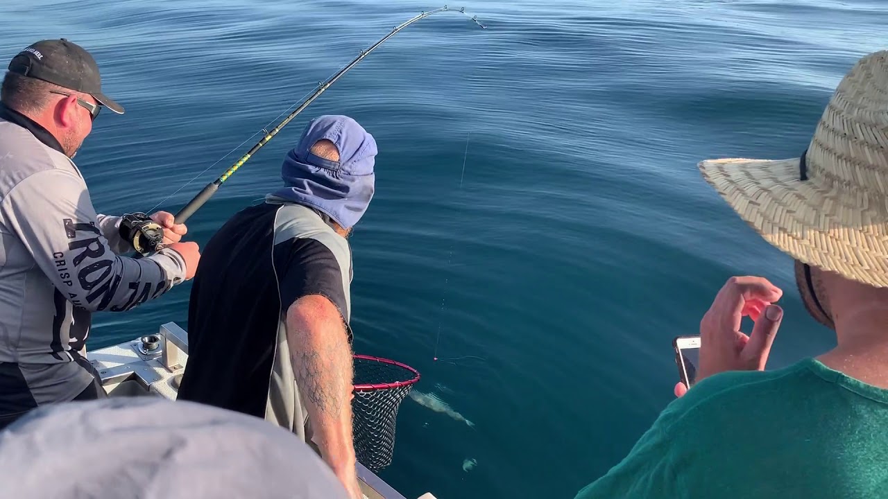 Port Macquarie Fishing Charters YouTube