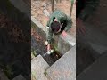 #funny