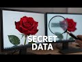 You’ll Never Guess Where Hackers Hide Data!
