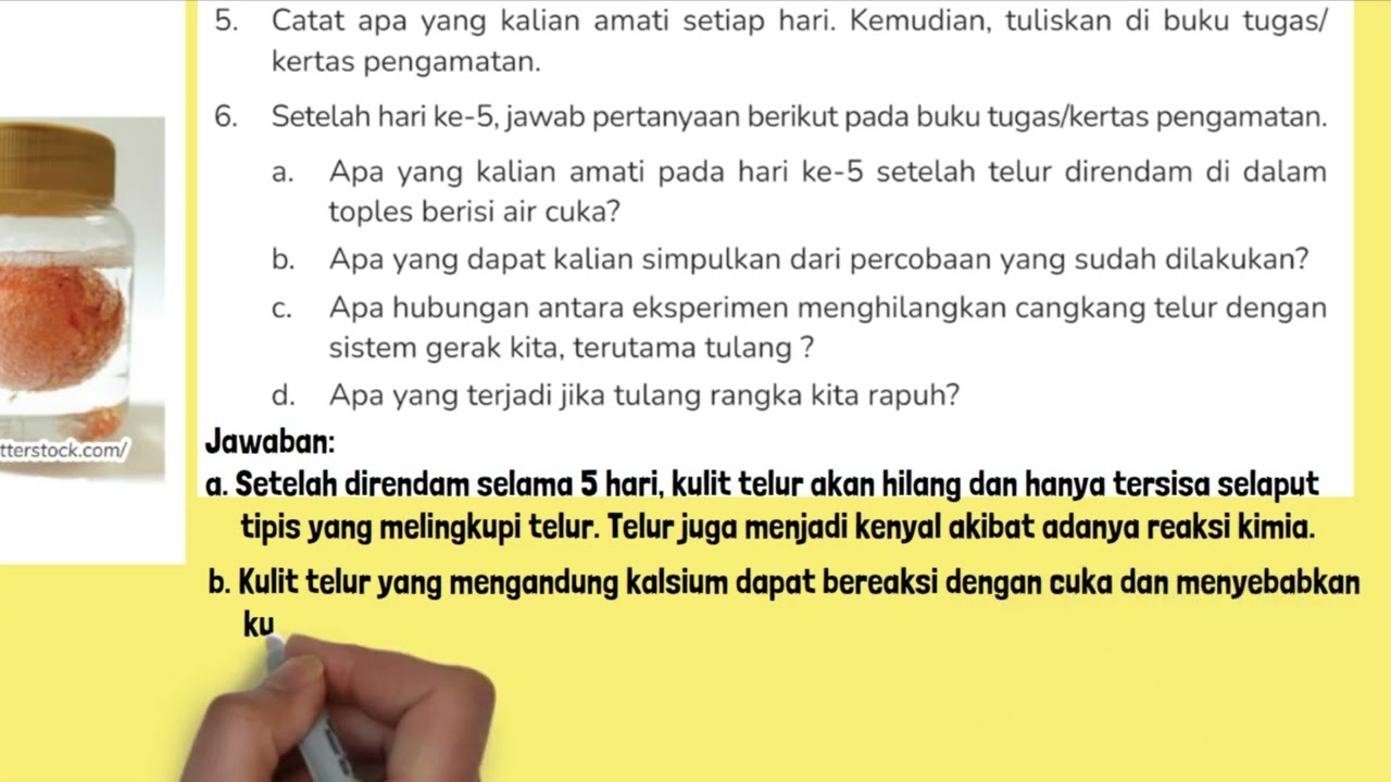 Apa yang Kalian Amati Pada Hari Ke 5 Setelah Telur Direndam Di Dalam Toples Berisi Air Cuka