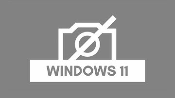 How To Fix Camera Not Working on Windows 11 Problem