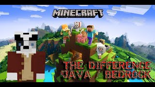 My thoughts on the differences of the two platforms