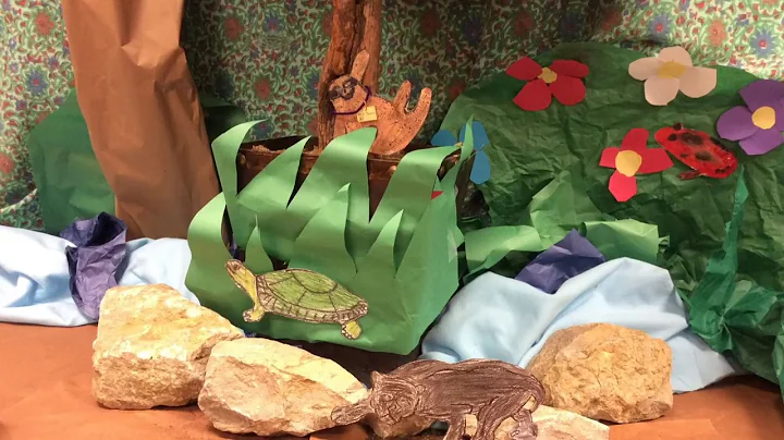 Rainforest Revival Movie