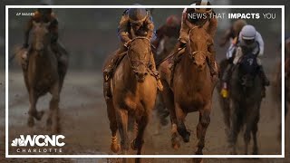 How do Kentucky Derby horses get their names?