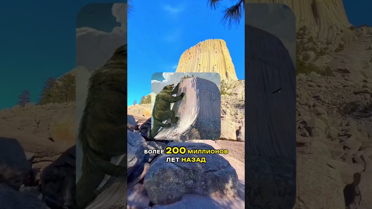 Одно из самых сюрреалистических чудес США 😯