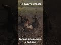 Изучаем механику боя в новой игре Soulframe