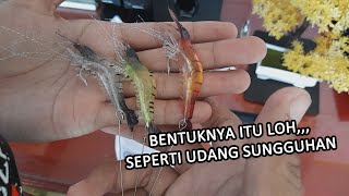 UNBOXING LURE UMPAN PANCING SOFT BERBENTUK UDANG |IKAN PASTI LANSUNG TERPESONA| screenshot 4