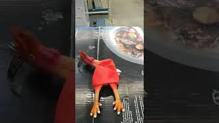 Latex Rubber Chicken Expression