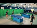 SMASH HARI INI....#PTMGUNUNGSALAK #PINGPONG 