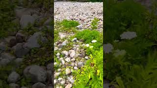 Spain.Cantabria.Onton.