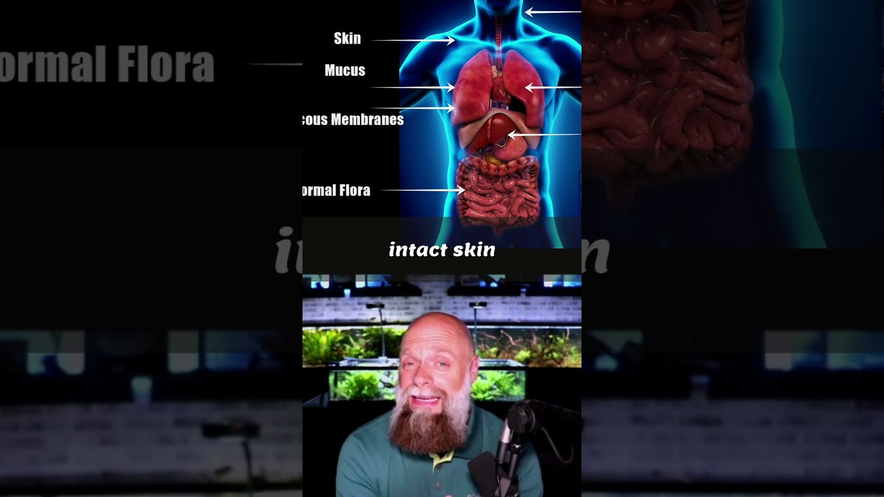 Врожденная иммунная система: объяснение первой линии защиты вашего организма