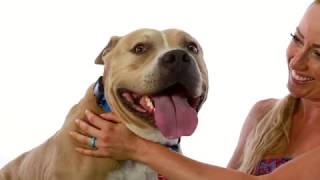 Adopt Roosevelt at NKLA