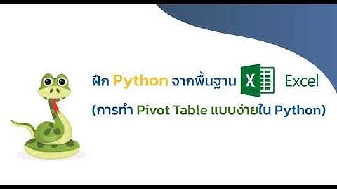 ฝึก Python จากพื้นฐาน Excel_EP2 (การทำ Pivot Table แบบง่ายใน Python)