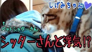 【隠し撮り激写】テトと美人ペットシッターさんの浮気現場!?