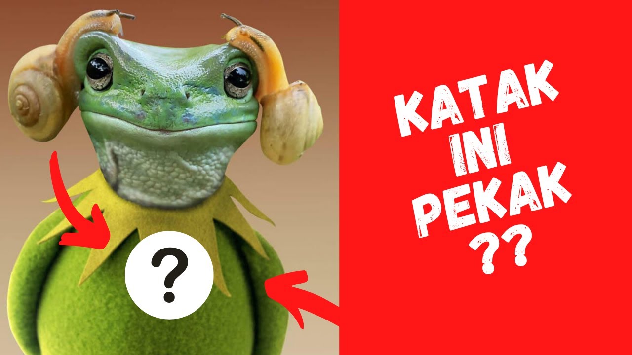 HIDUP AKU AKAN LEBIH BERJAYA BILA AKU BERANI PEKAKKAN TELINGA?? (VIDEO MOTIVASI)