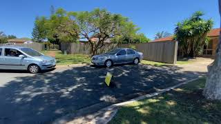 Walk-Thru - 3 Papaya Court, Kallangur