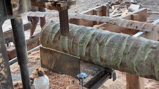 Coconut Wood Sawmill Process 5x10 – Easy & Efficient!