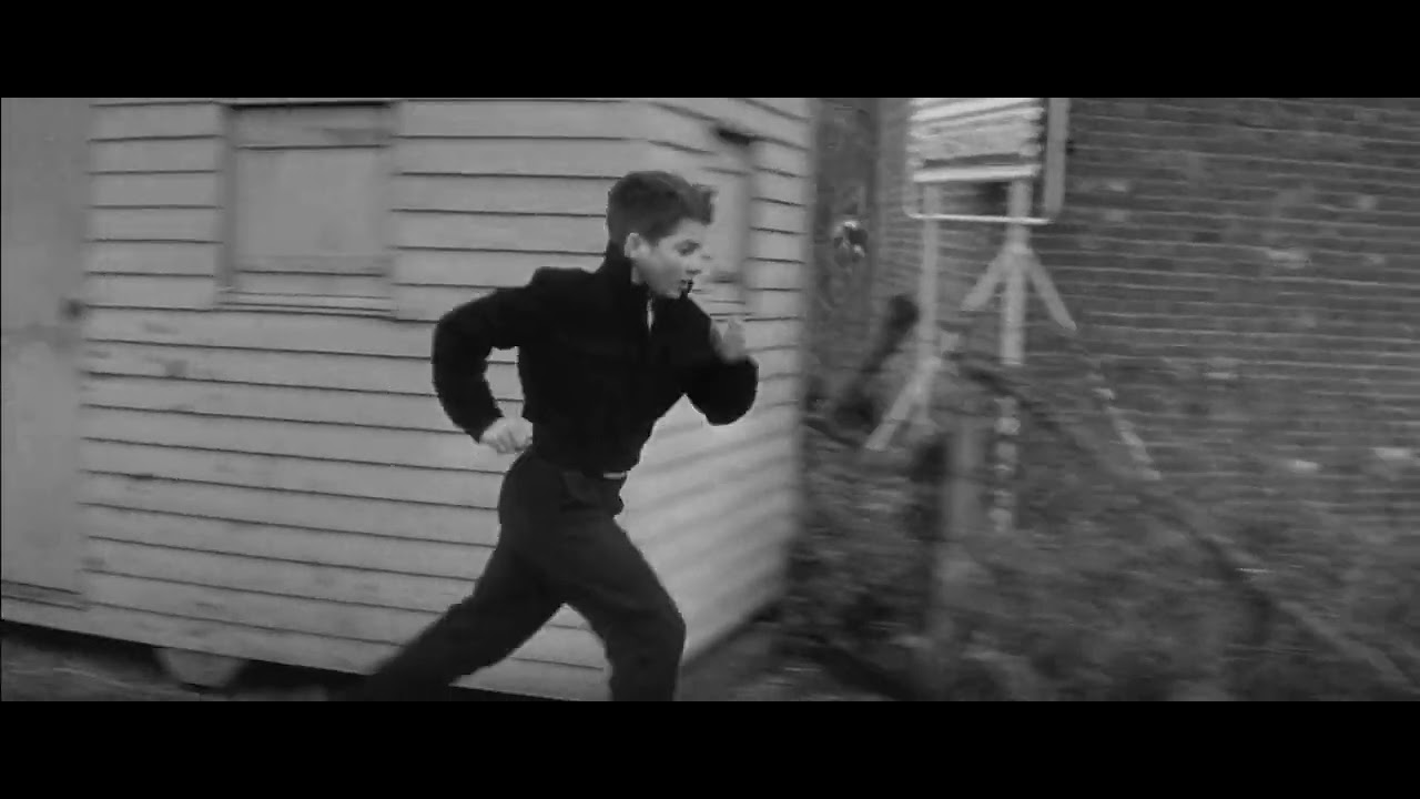 The 400 Blows Final Scene YouTube the-400-blows-final-scene-youtube