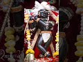 Today's Aulai darshan of Sri Radha Raman Ji@Vrindavan #08.06.2026#shorts