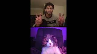 Talking Cat Puppet Surprises People #shorts