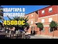 Квартира Пикасент 46.000€