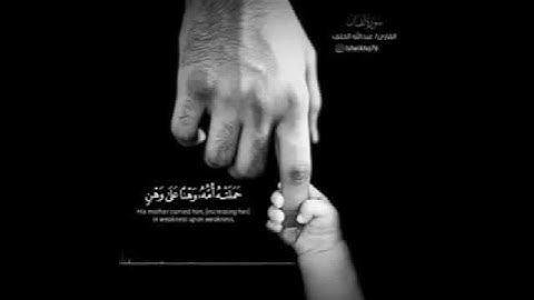 بر الوالدين حالات واتس اب قرآن كريم