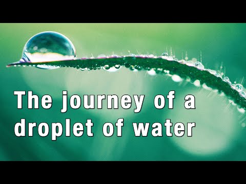 #waterfall #water #creative #drone #wales    Radnor Hills Video - Journey of a droplet of water