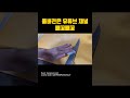 [선공개] 세상에서 가장 쉬운 학꽁치 손질법 #일식 #학꽁치 #오마카세